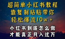  超简单小红书教程、靠复制粘贴带你、轻松爆流10w+