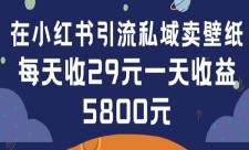 小红书壁纸项目，一单29元，月入5800+