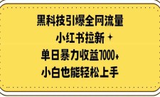 小红书拉新项目，单日暴力收益7000+小白也能轻松上手！