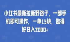 小红书最新拉新野路子,一部手机即可操作，一单15块，日入2000+